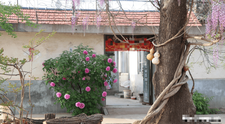 Phong thủy nhà ở: 5 thứ trước cửa, chặn đường Thần Tài, làm ăn sa sút, tiền bạc "đội nón" ra đi - Ảnh 3.