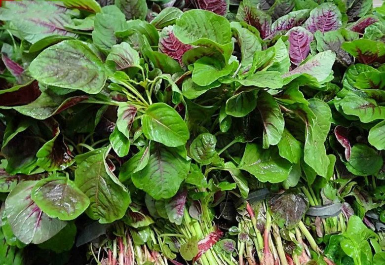 5 loại “rau trường thọ” được cả thế giới ca tụng, nước ta mọc um tùm như cỏ dại mà ít người ăn - Ảnh 4.
