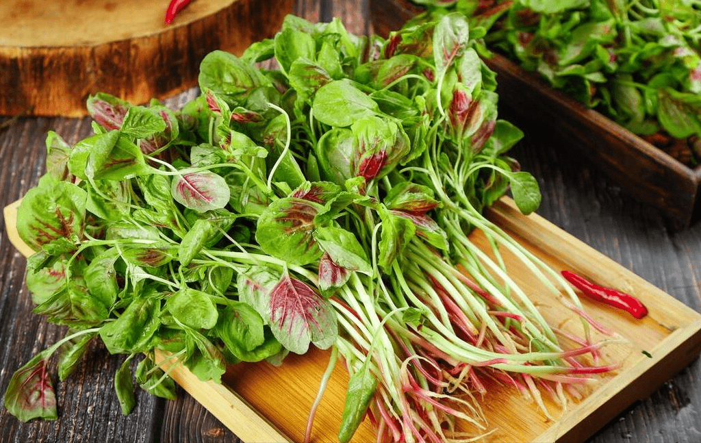 Loại rau mệnh danh là "rau trường thọ", bổ gan, dưỡng mắt, chế biến thành món ăn sảng khoái mùa hè - Ảnh 1.