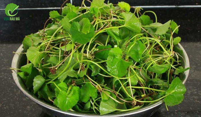 Loại rau là "sâm của người nghèo" có thể hóa độc dược nếu ăn theo cách này - Ảnh 2.