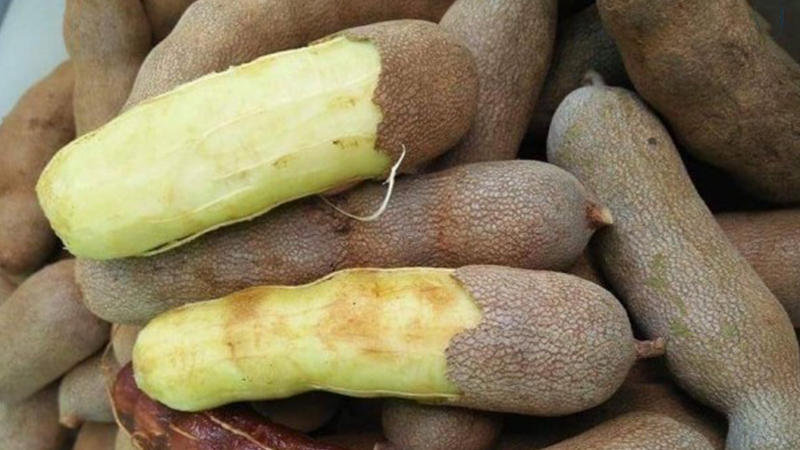 Loại quả xấu xấu, chua lè, hỗ trợ giảm cân, tốt cho tiêu hóa, tim mạch, đừng nấu canh mang rim mực cực đỉnh - Ảnh 1.