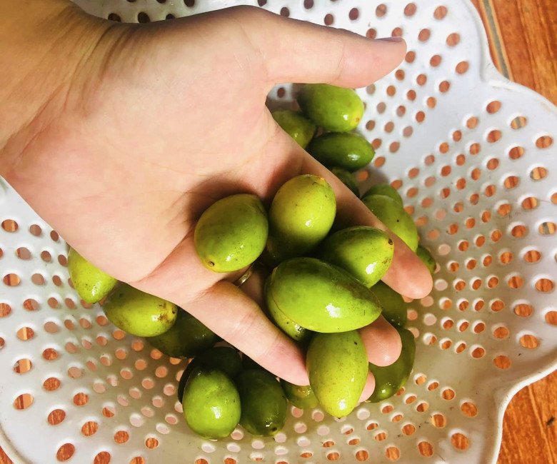 Loại quả xưa rụng đầy gốc không ai nhặt, giờ là đặc sản dân thành phố săn lùng, đem kho thịt ăn tốn cơm - Ảnh 1.