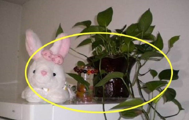 4 thứ này nhất định phải tránh xa tủ lạnh, nếu không hao tài tốn của, phong thủy không tốt - Ảnh 3.