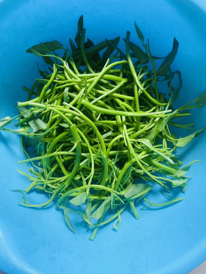 Loại rau bình dân, rẻ tiền, có nhiều lợi ích cho sức khỏe đem muối chua ngọt, ăn là nghiền - Ảnh 2.