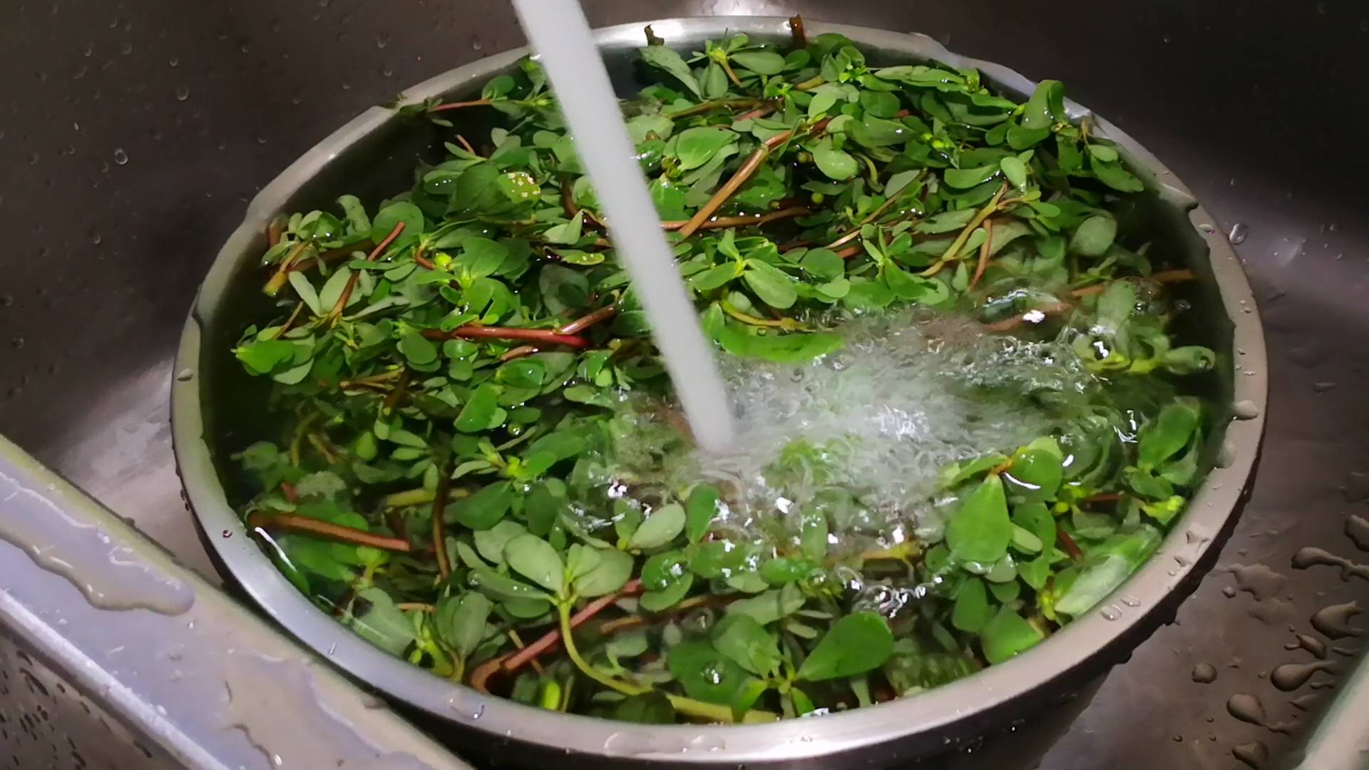 Loại rau "trường thọ" hóa ra là vậy, ăn vào mùa hè vừa mát vừa bổ, tiếc là nhiều người coi như cỏ - Ảnh 2. Loại rau "trường thọ" hóa ra là vậy, ăn vào mùa hè vừa mát vừa bổ, tiếc là nhiều người coi như cỏ - Ảnh 2.