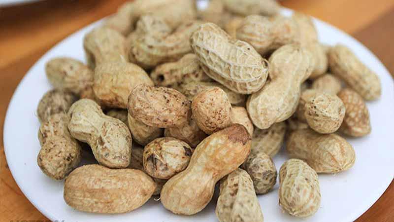 Nó được ví là “hạt trường thọ”, chỉ 15.000đ/kg, bổ hơn táo tàu, ăn vào dưỡng huyết đẹp da - Ảnh 2. Nó được ví là “hạt trường thọ”, chỉ 15.000đ/kg, bổ hơn táo tàu, ăn vào dưỡng huyết đẹp da - Ảnh 2.