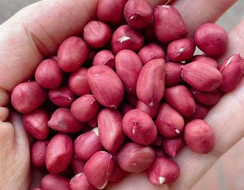 Nó được ví là “hạt trường thọ”, chỉ 15.000đ/kg, bổ hơn táo tàu, ăn vào dưỡng huyết đẹp da - Ảnh 1. Nó được ví là “hạt trường thọ”, chỉ 15.000đ/kg, bổ hơn táo tàu, ăn vào dưỡng huyết đẹp da - Ảnh 1.