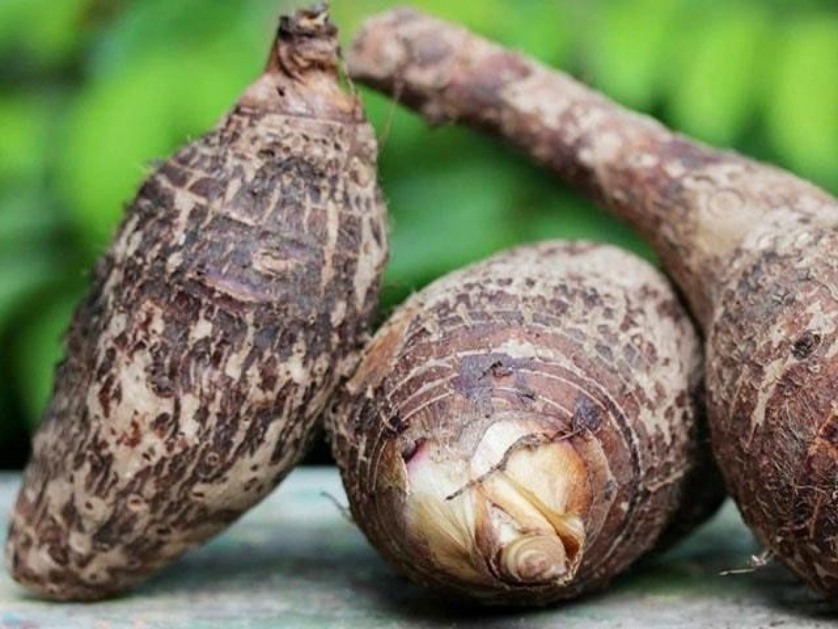 Loại củ chữa được nhiều bệnh, chống cả ung thư, đem nấu với thịt vịt thành món ăn ngon tuyệt - Ảnh 1. Loại củ chữa được nhiều bệnh, chống cả ung thư, đem nấu với thịt vịt thành món ăn ngon tuyệt - Ảnh 1.