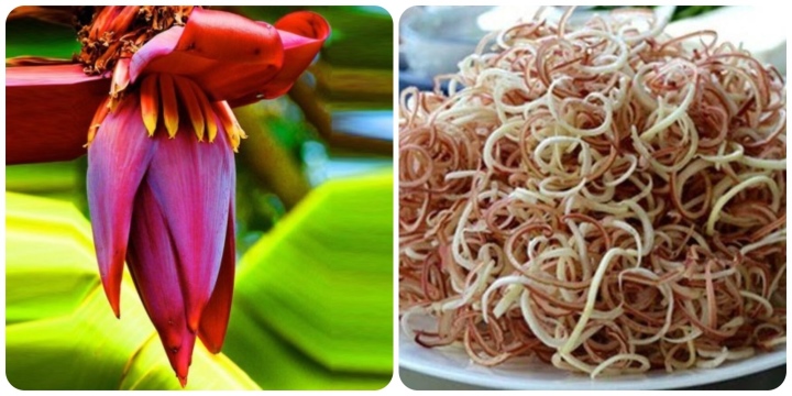 "Loại rau" cực đặt hàng, rất tốt cho sức khỏe sinh sản của nữ giới, đem làm nộm ăn "vạn người mê"  - Ảnh 1.