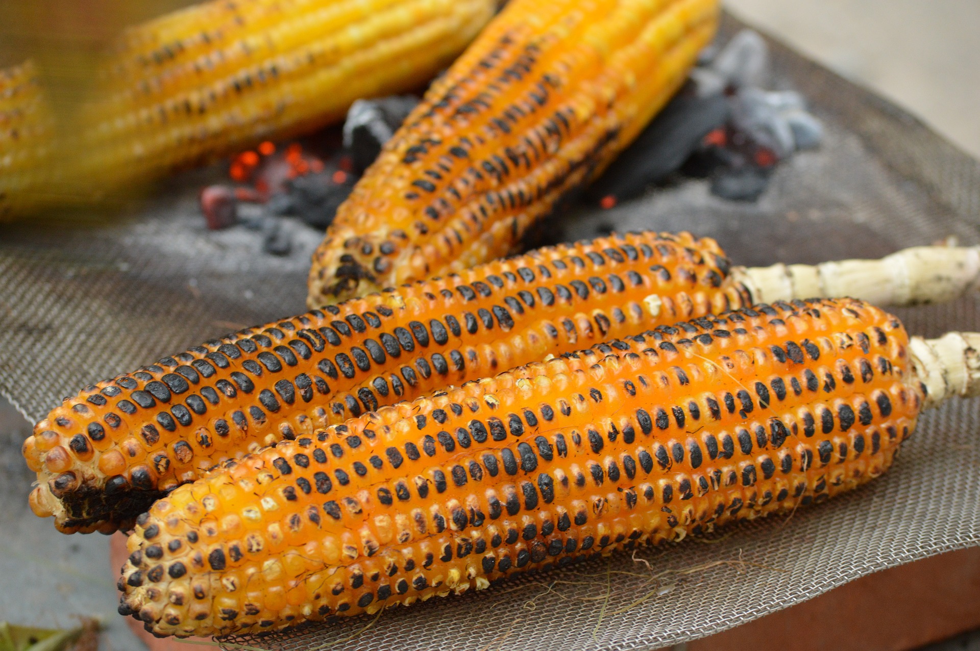 Loại rau rẻ hơn khoai sọ, bổ hơn khoai lang, ăn đầu thu nhuận tràng, trắng da, nâng cao sức khỏe - Ảnh 2.