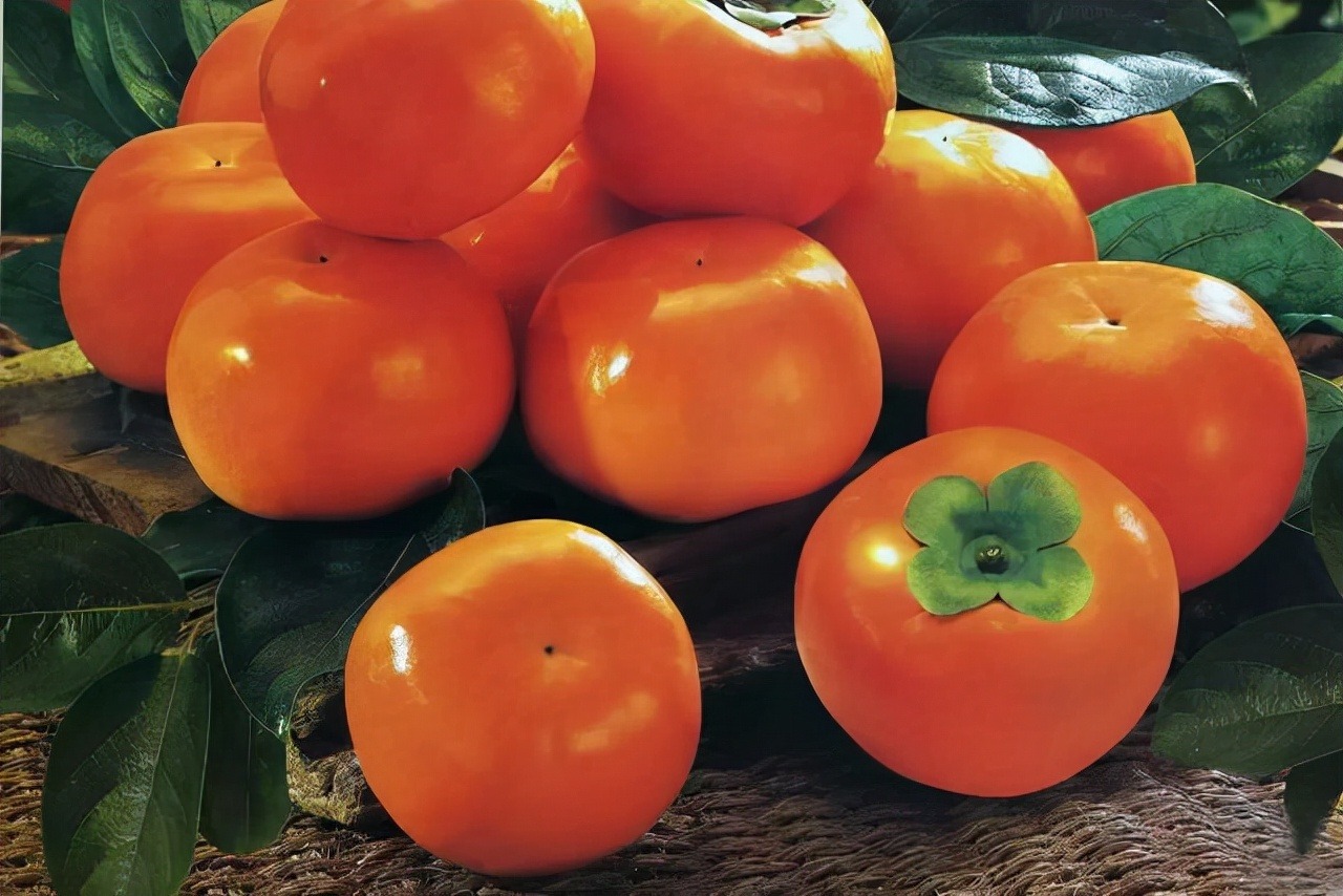 Loại quả mùa thu, rực vàng, ngon ngọt, người xưa nói bổ dưỡng "gấp 10 lần thuốc"  - Ảnh 4.