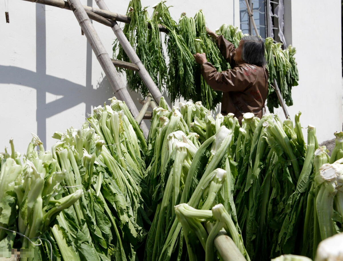 Đếm món ngon trong mùa thu: 8 loại rau củ quả đừng bỏ lỡ, ăn ngon, sức khỏe lại còn xinh đẹp - Ảnh 7.