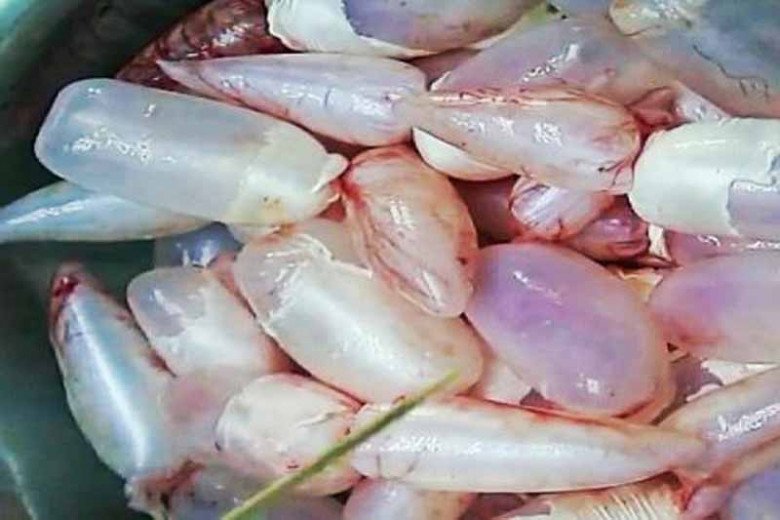 Thứ tanh ngòm của con cá toàn bị vứt đi nay bán 9 triệu đồng/kg, xào với quả này 1 đĩa đầy chả đủ ăn - Ảnh 2. Thứ tanh ngòm của con cá toàn bị vứt đi nay bán 9 triệu đồng/kg, xào với quả này 1 đĩa đầy chả đủ ăn - Ảnh 2.