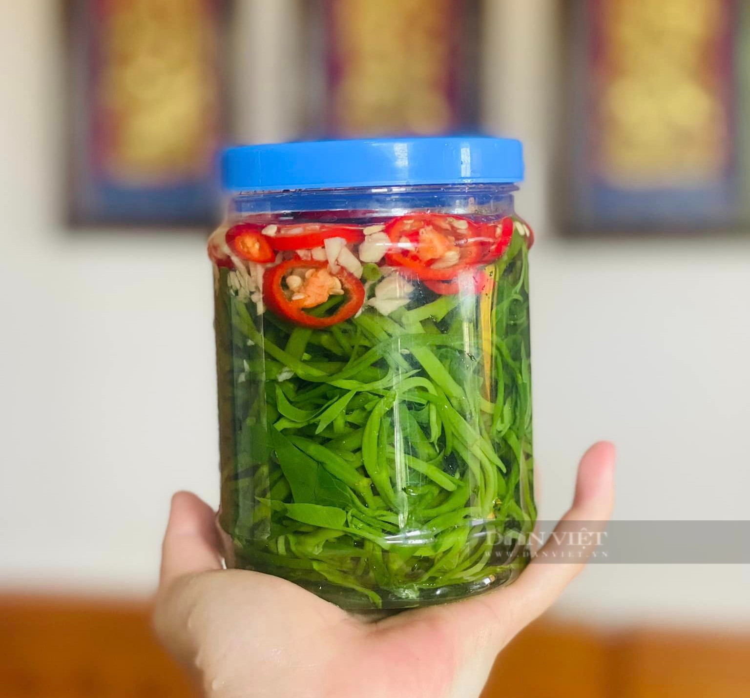 Loại rau bình dân, rẻ tiền, có nhiều lợi ích cho sức khỏe đem muối chua ngọt, ăn là nghiền - Ảnh 1.