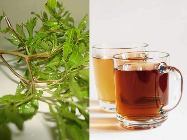 Loại củ là vua bổ dưỡng máu và khí huyết, được gọi là nhân sâm của người nghèo, ở Việt Nam nhiều nhưng ít ai - Ảnh 2. Loại củ là vua bổ dưỡng máu và khí huyết, được gọi là nhân sâm của người nghèo, ở Việt Nam nhiều nhưng ít ai - Ảnh 2.