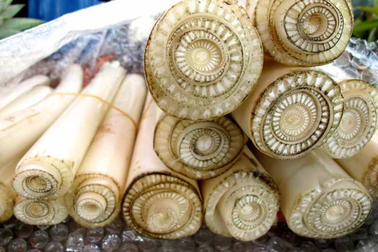 Thứ này xưa chỉ cho lợn, rất bổ mà ít người ăn, thái ra làm nộm ngon hơn thịt, khúc bé tí 250.000đ - Ảnh 1. Thứ này xưa chỉ cho lợn, rất bổ mà ít người ăn, thái ra làm nộm ngon hơn thịt, khúc bé tí 250.000đ - Ảnh 1.