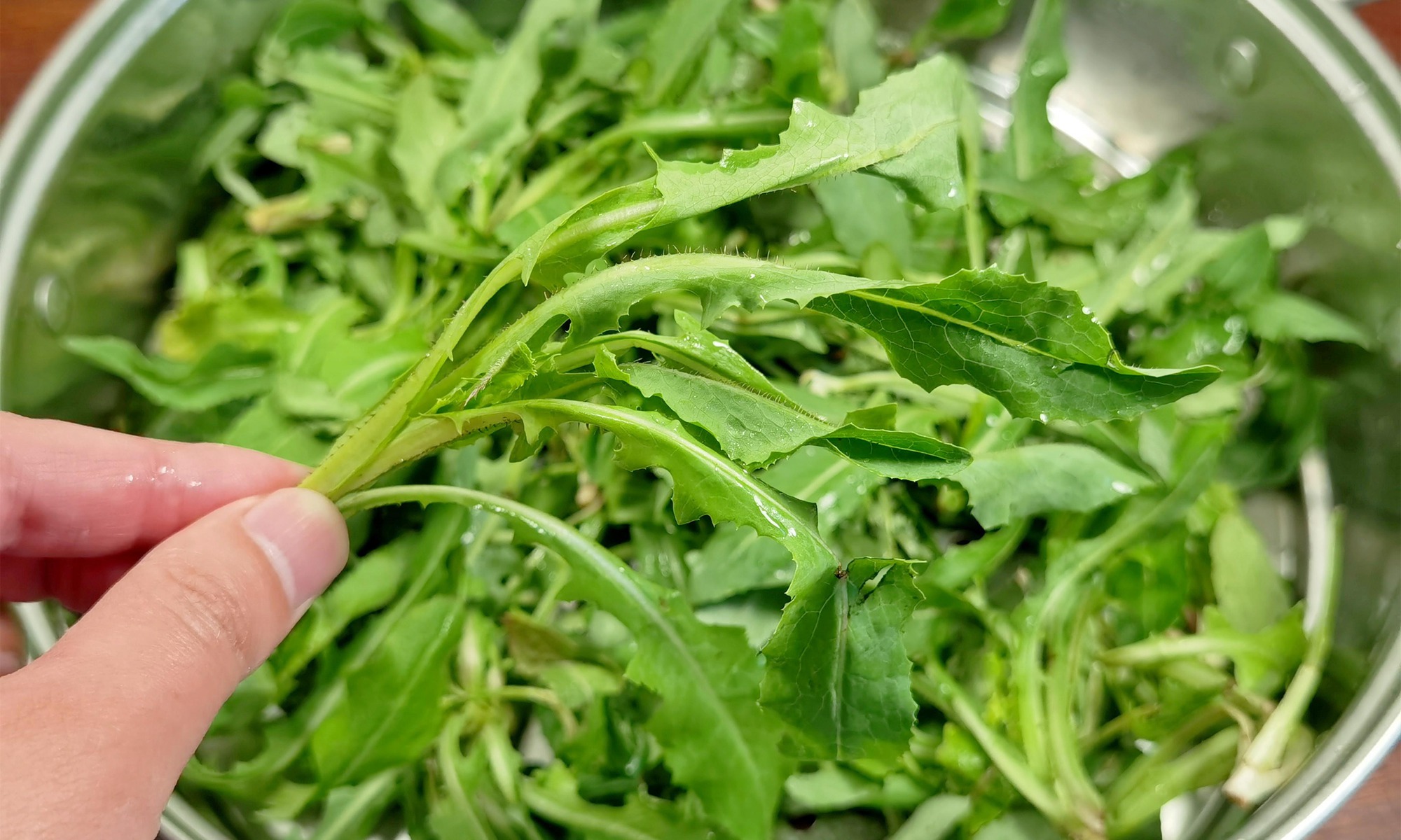 Loại rau dại mệnh danh là "cỏ đái dầm" chống viêm, giải độc, lợi tiểu nhưng 4 người không nên dùng - Ảnh 6.