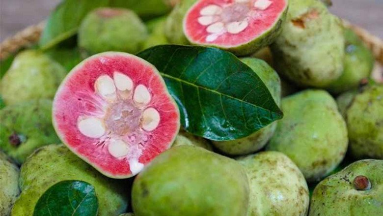 Quả xanh vỏ đỏ lòng, xưa ít người ăn nay bán 300.000đ/kg, nấu chung với con giàu đạm được món mát ruột - Ảnh 1. Quả xanh vỏ đỏ lòng, xưa ít người ăn nay bán 300.000đ/kg, nấu chung với con giàu đạm được món mát ruột - Ảnh 1.