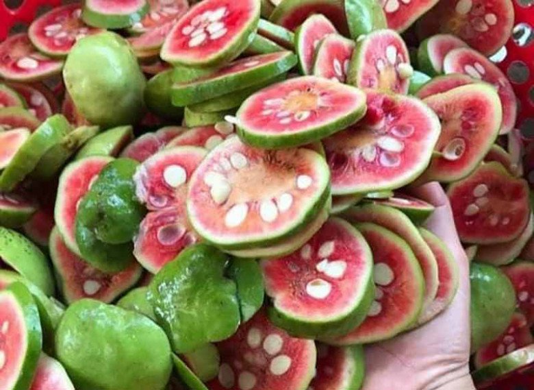 Quả xanh vỏ đỏ lòng, xưa ít người ăn nay bán 300.000đ/kg, nấu chung với con giàu đạm được món mát ruột - Ảnh 4. Quả xanh vỏ đỏ lòng, xưa ít người ăn nay bán 300.000đ/kg, nấu chung với con giàu đạm được món mát ruột - Ảnh 4.