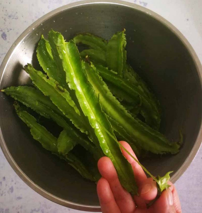 Quả này giống khế nhưng có răng cưa mọc tua tủa, được ví như “vàng xanh”, tiếc là ít người ăn - Ảnh 4.