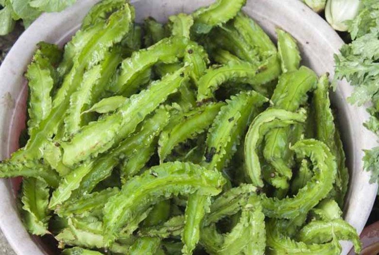 Quả này giống khế nhưng có răng cưa mọc tua tủa, được ví như “vàng xanh”, tiếc là ít người ăn - Ảnh 3.