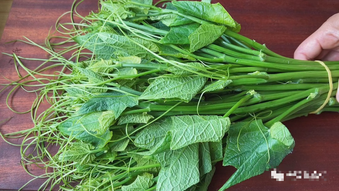 Người già dặn: "Mùa thu ăn 3 loại rau này, thày thuốc không tìm ra bệnh", giải độc, đẹp da - Ảnh 4.