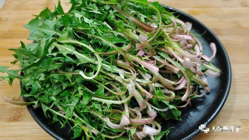 Người già dặn: "Mùa thu ăn 3 loại rau này, thày thuốc không tìm ra bệnh", giải độc, đẹp da - Ảnh 6.