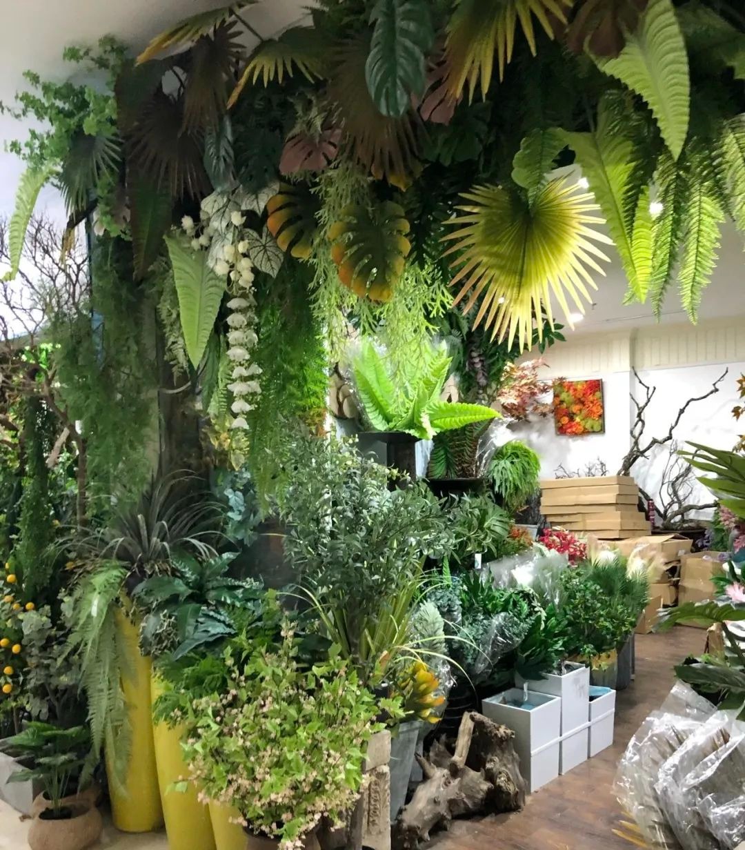 Nhà giàu không trồng 3 cây cảnh này, hoa càng thịnh sức khỏe càng yếu, phong thủy càng xấu - Ảnh 5.