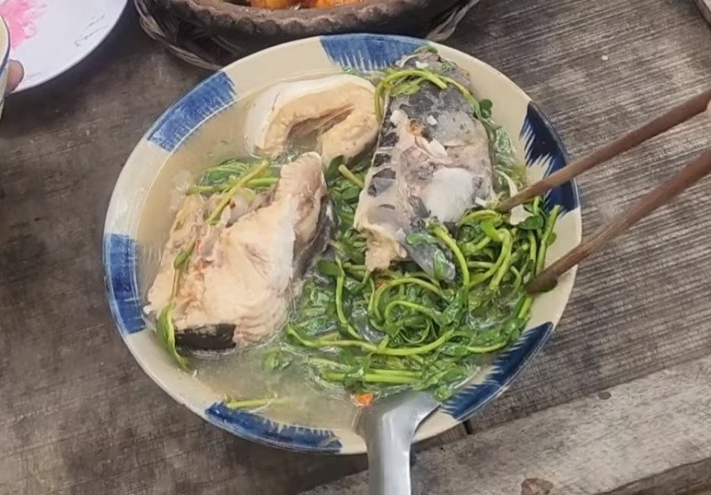 Cây hay bị nhầm là rau sam, đắng ngắt nhưng là kho vitamin C, nấu với con này được món đặc sản - Ảnh 11. Cây hay bị nhầm là rau sam, đắng ngắt nhưng là kho vitamin C, nấu với con này được món đặc sản - Ảnh 11.