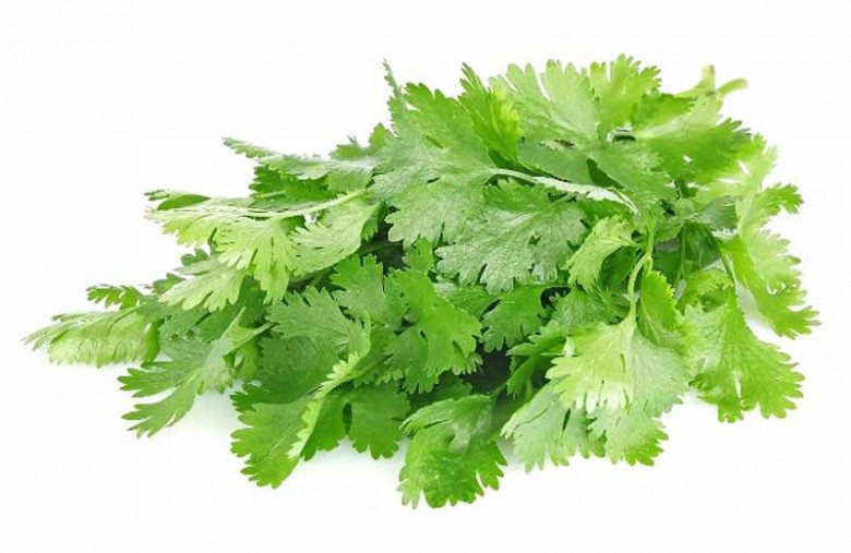Cây này tưởng chỉ tạo mùi thơm không ngờ toàn thân là kho báu, vitamin C cao gấp 5 lần chanh - Ảnh 3. Cây này tưởng chỉ tạo mùi thơm không ngờ toàn thân là kho báu, vitamin C cao gấp 5 lần chanh - Ảnh 3.