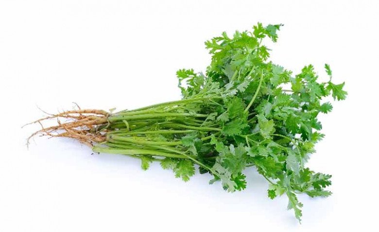 Cây này tưởng chỉ tạo mùi thơm không ngờ toàn thân là kho báu, vitamin C cao gấp 5 lần chanh - Ảnh 2. Cây này tưởng chỉ tạo mùi thơm không ngờ toàn thân là kho báu, vitamin C cao gấp 5 lần chanh - Ảnh 2.