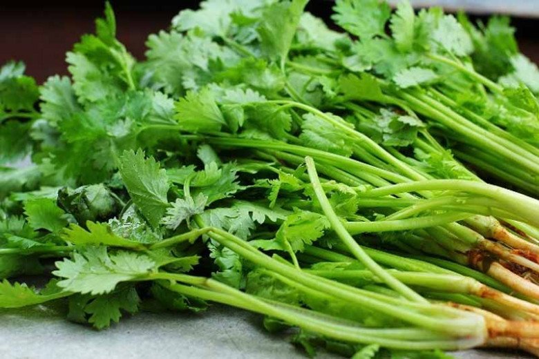 Cây này tưởng chỉ tạo mùi thơm không ngờ toàn thân là kho báu, vitamin C cao gấp 5 lần chanh - Ảnh 1. Cây này tưởng chỉ tạo mùi thơm không ngờ toàn thân là kho báu, vitamin C cao gấp 5 lần chanh - Ảnh 1.