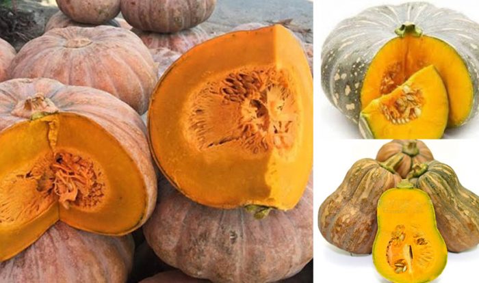 Loại quả rất tốt cho mắt, hỗ trợ giảm cân, đem làm bánh ăn vừa ngon vừa bổ dưỡng - Ảnh 1.