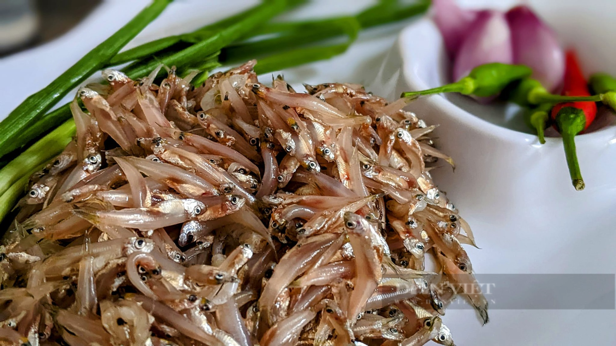 Loại cá có kích thước vô cùng nhỏ bé nhưng giàu giá trị dinh dưỡng, giúp đẹp da, sáng mắt, chắc xương - Ảnh 2. Loại cá có kích thước vô cùng nhỏ bé nhưng giàu giá trị dinh dưỡng, giúp đẹp da, sáng mắt, chắc xương - Ảnh 2.