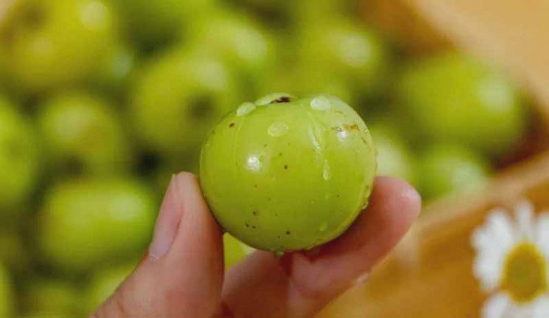 Quả dại được ví là “kim cương xanh”, vitamin C cao ngất ngưởng, gặp thì nhớ mua ăn - Ảnh 1.