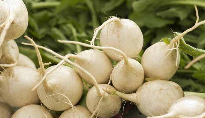 Siêu thực phẩm được ví như “nhân sâm trắng”, ăn đều nhuận tràng, ngừa ung thư - Ảnh 4. Siêu thực phẩm được ví như “nhân sâm trắng”, ăn đều nhuận tràng, ngừa ung thư - Ảnh 4.