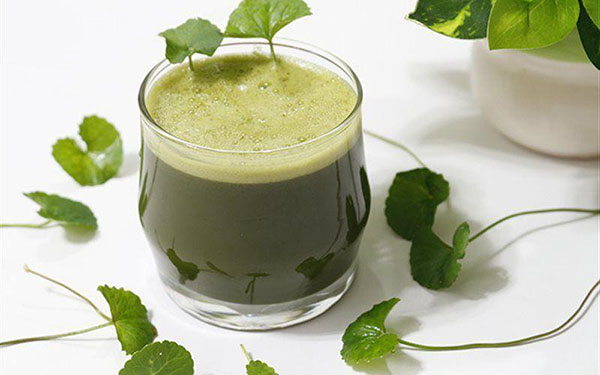 Loại rau mọc hoang nhiều người Việt ghét bỏ nhưng lại là rau trường thọ, giúp tăng collagen, phụ nữ ăn vào có lợi nhất - Ảnh 1.