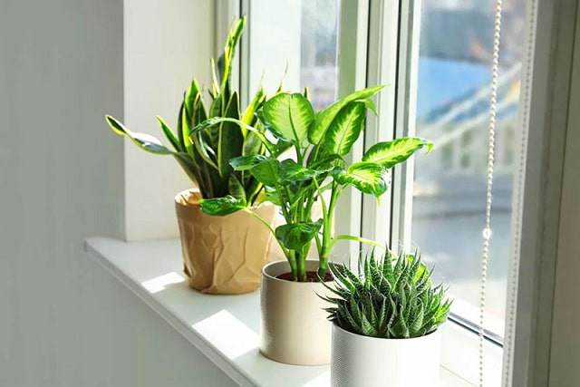 Mua lại nhà có nên dùng lại đồ của chủ cũ? 6 thứ này nhất định không được - Ảnh 6. Mua lại nhà có nên dùng lại đồ của chủ cũ? 6 thứ này nhất định không được - Ảnh 6.
