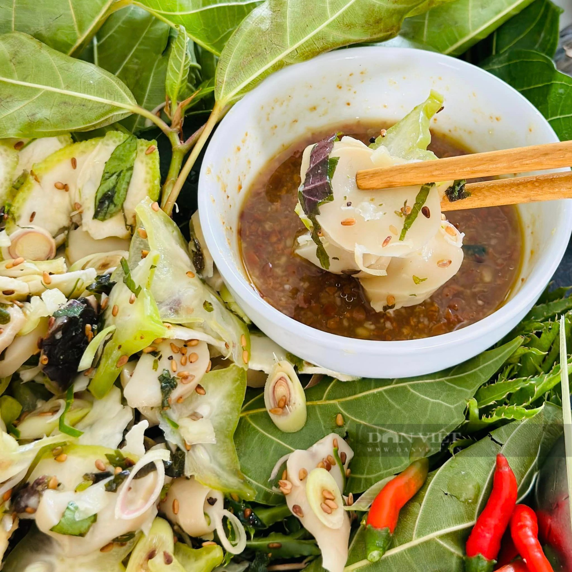 Loại nấm được mệnh danh là "nữ hoàng" của các loại nấm, chống được bệnh ung thư, ngăn ngừa tiểu đường hiệu quả - Ảnh 4.