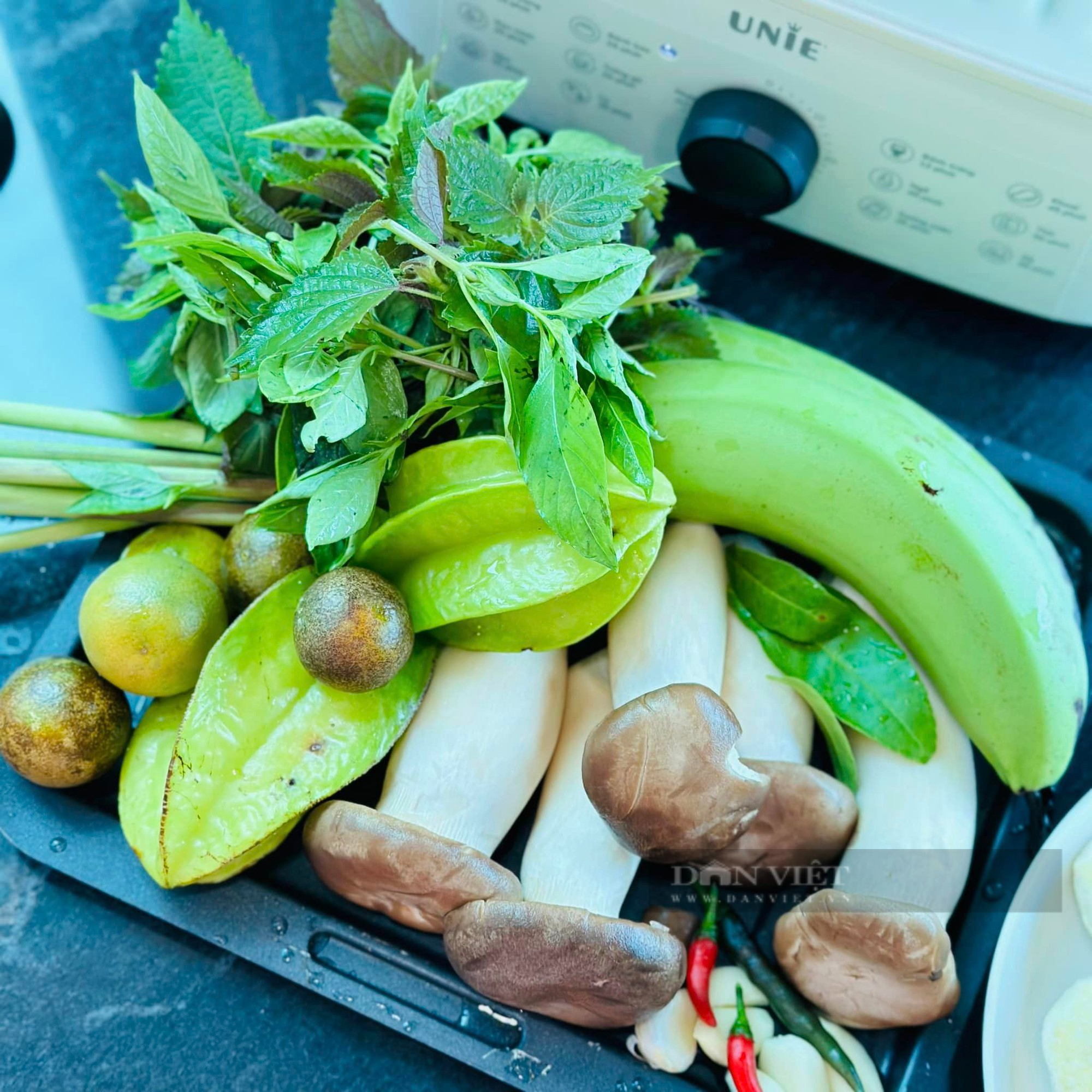 Loại nấm được mệnh danh là "nữ hoàng" của các loại nấm, chống được bệnh ung thư, ngăn ngừa tiểu đường hiệu quả - Ảnh 2.