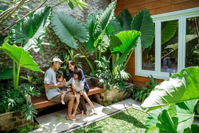 Cây cảnh "mới nổi" lá siêu to, trồng trong nhà làm ăn thuận buồm xuôi gió, đón lộc, chiêu may - Ảnh 11.