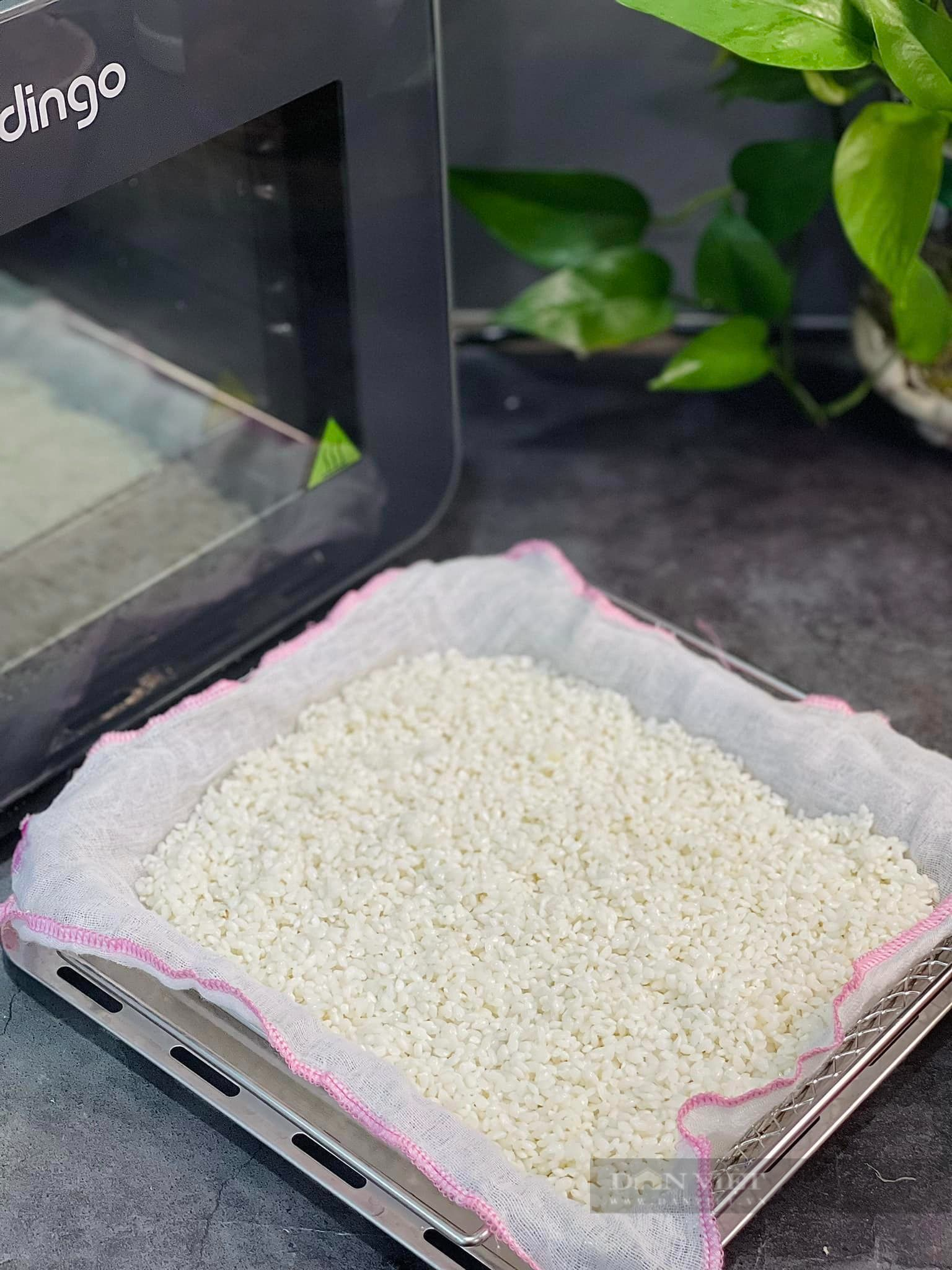 Mách bạn cách làm cơm cháy siêu đơn giản mà ngon khó cưỡng tại nhà - Ảnh 2. Mách bạn cách làm cơm cháy siêu đơn giản mà ngon khó cưỡng tại nhà - Ảnh 2.