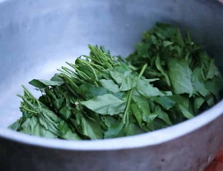 Cây mọc “vô tội vạ” không chăm vẫn tốt um, lá xào ăn cực ngon, riêng quả bán 700.000đ/kg - Ảnh 3.