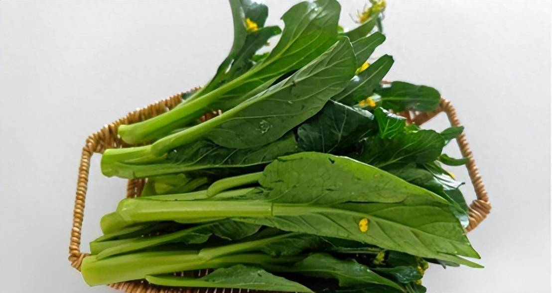 Loại rau rẻ tiền, mùa thu bổ dưỡng tựa nhân sâm, nhuận tràng, bổ mắt, luộc hay xào đều ngon miệng - Ảnh 1.