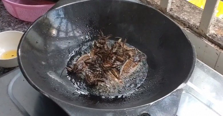 Lộc trời chui ra từ sình lầy, đem chiên được món đặc sản, 5 triệu đồng/kg, giới nhà giàu thích mê - Ảnh 4. Lộc trời chui ra từ sình lầy, đem chiên được món đặc sản, 5 triệu đồng/kg, giới nhà giàu thích mê - Ảnh 4.