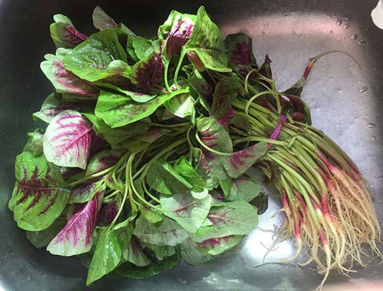 Lá này axit folic gấp 46 lần dưa chuột, giá rẻ bằng ½ rau muống, tranh thủ ăn kẻo phải chờ năm sau - Ảnh 1.