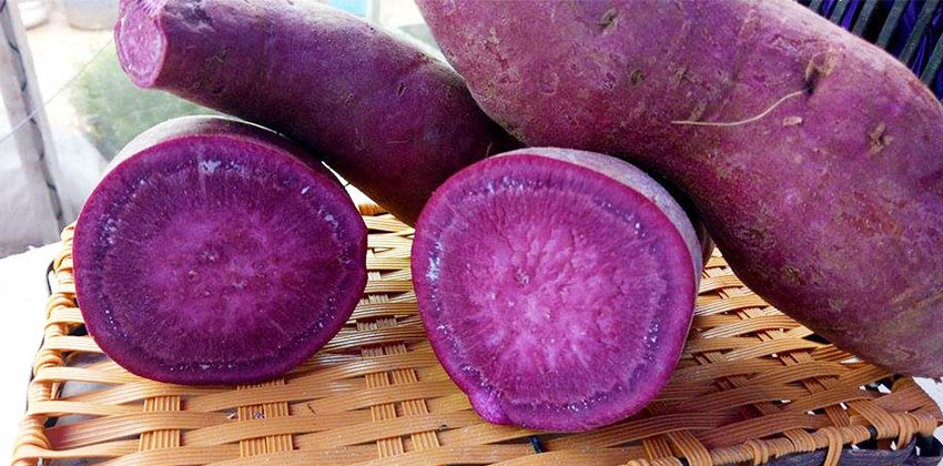 Loại củ "trường sinh" phối với quả "siêu vitamin A" thành bánh Trung thu ngon, đẹp, bổ - Ảnh 1. Loại củ "trường sinh" phối với quả "siêu vitamin A" thành bánh Trung thu ngon, đẹp, bổ - Ảnh 1.