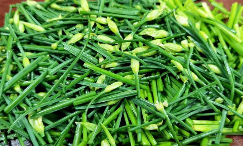 Thứ này có giá 90.000đ/kg, người Trung Quốc gọi là “rau trường thọ”, ăn rất ngon lại có thể làm thuốc - Ảnh 3. Thứ này có giá 90.000đ/kg, người Trung Quốc gọi là “rau trường thọ”, ăn rất ngon lại có thể làm thuốc - Ảnh 3.