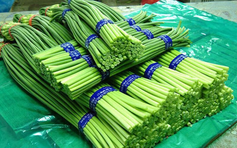 Thứ này có giá 90.000đ/kg, người Trung Quốc gọi là “rau trường thọ”, ăn rất ngon lại có thể làm thuốc - Ảnh 1. Thứ này có giá 90.000đ/kg, người Trung Quốc gọi là “rau trường thọ”, ăn rất ngon lại có thể làm thuốc - Ảnh 1.
