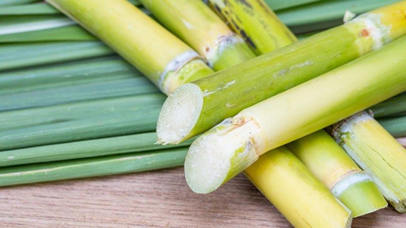 Loại cây nhiều đốt, làm nước giải khát cực ngon, đem kho với cá nục ngon nhức nách - Ảnh 1.